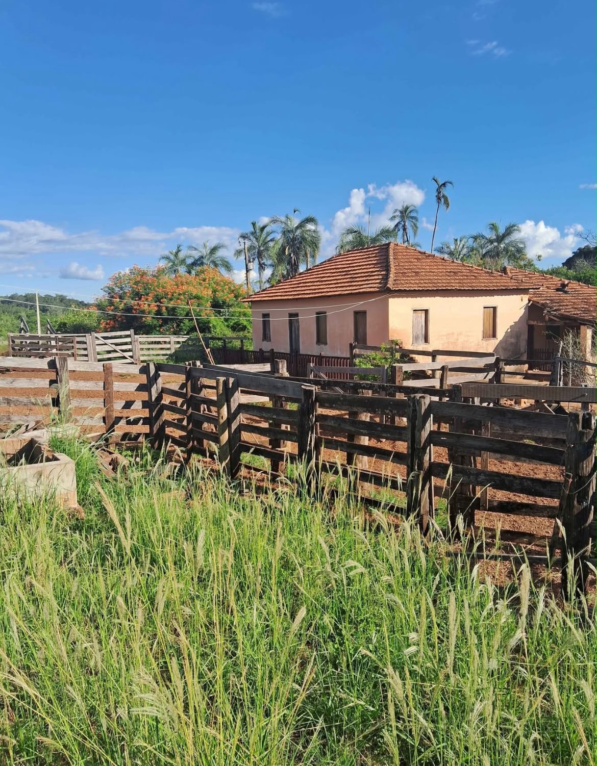 ✅ Oportunidade Única: FAZENDA A 20KM DE UBERLÂNDIA