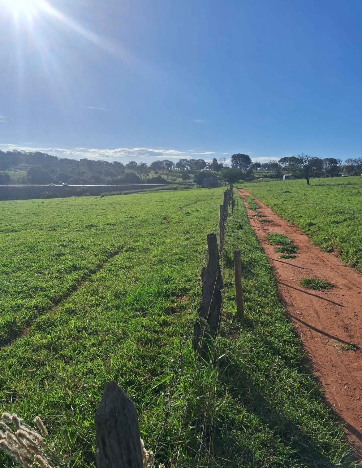 ✅ Oportunidade Única: FAZENDA A 20KM DE UBERLÂNDIA