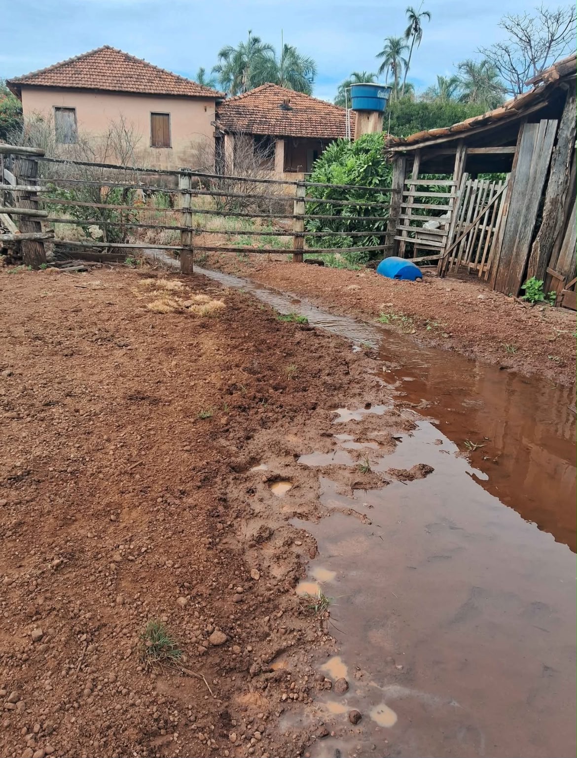 ✅ Oportunidade Única: FAZENDA A 20KM DE UBERLÂNDIA