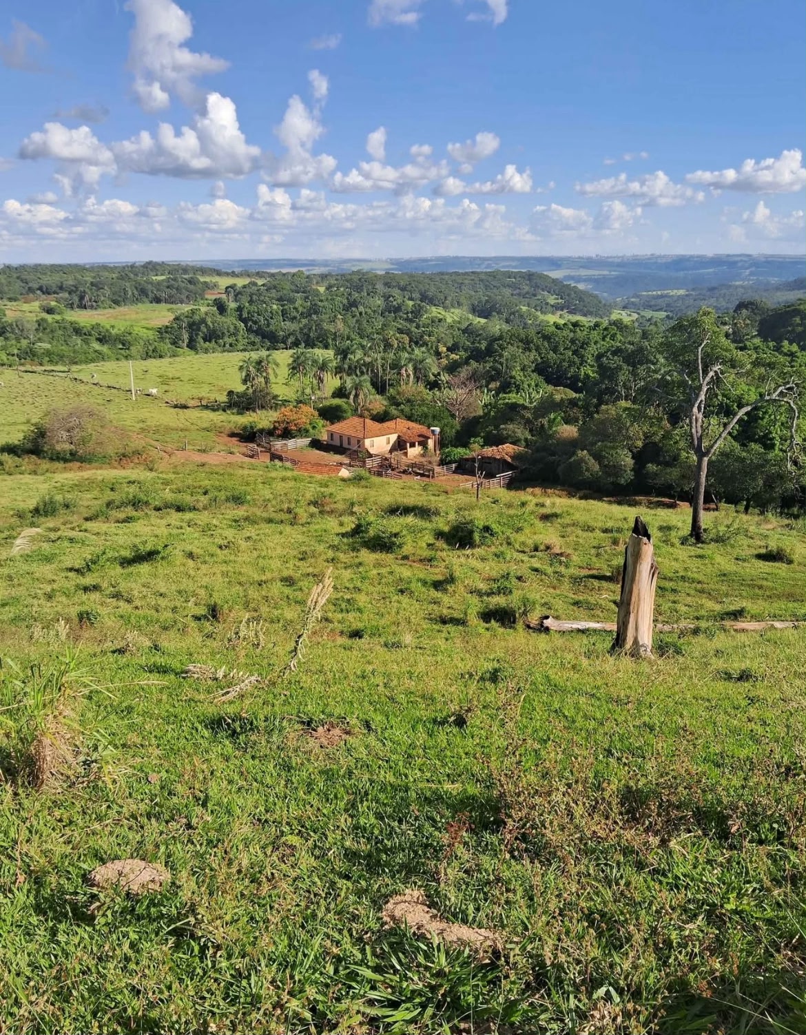 ✅ Oportunidade Única: FAZENDA A 20KM DE UBERLÂNDIA
