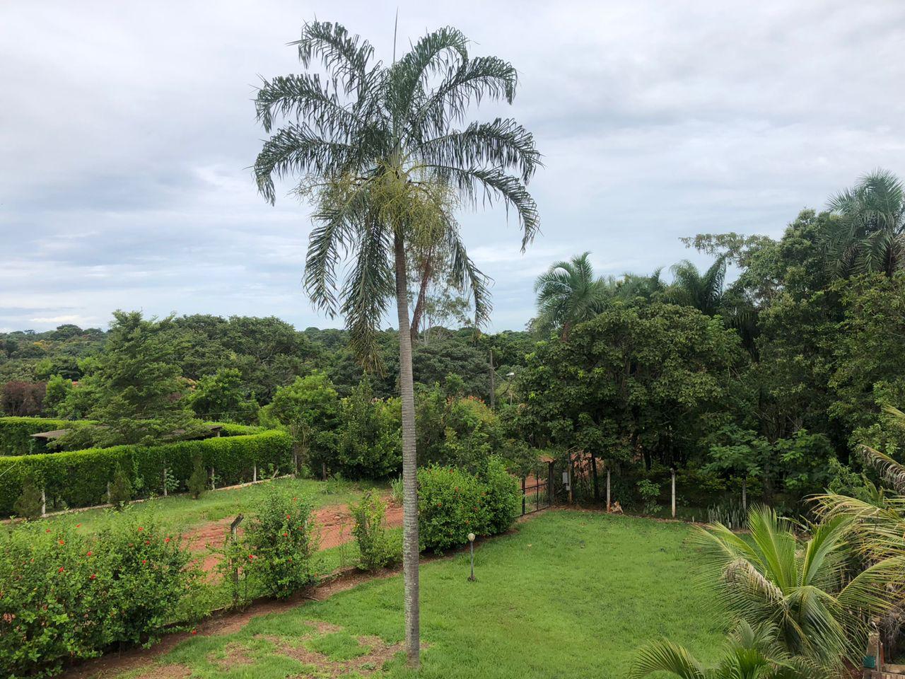 🎯 Exclusividade e Natureza! Chácara de Alto Padrão à Venda no Condomínio Eldorado!