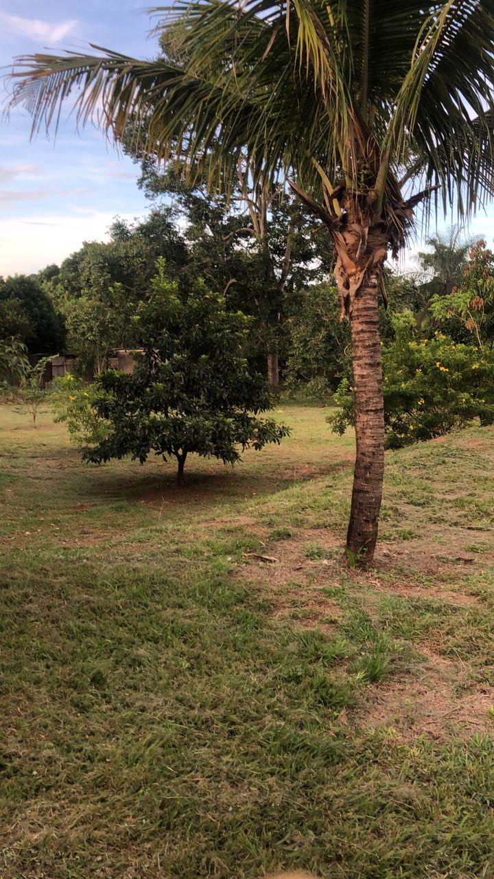 🎯 Exclusividade e Natureza! Chácara de Alto Padrão à Venda no Condomínio Eldorado!