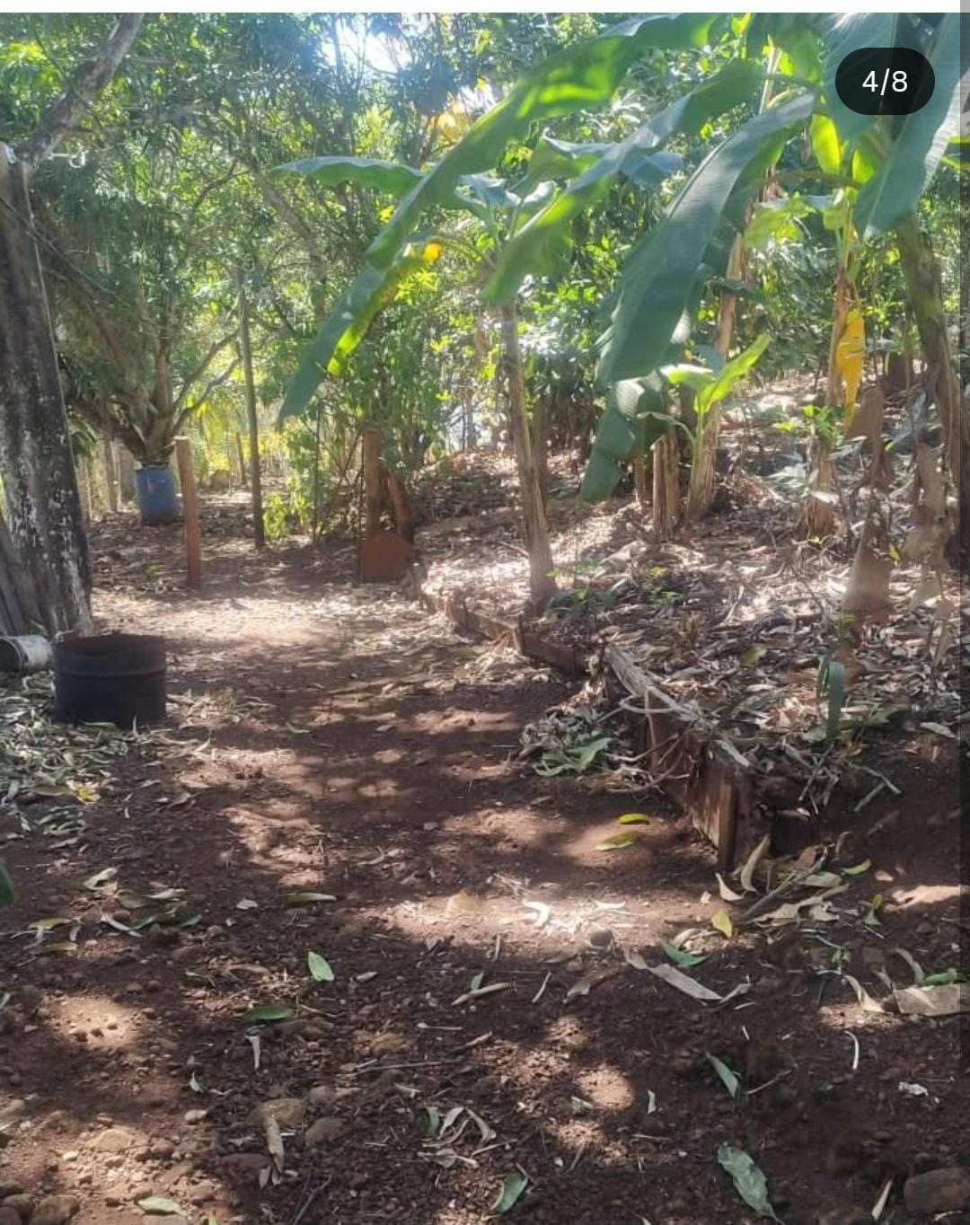 ☀️ Paraíso na Barra do Rio Claro: Chácara Espetacular à Beira D'água! 🏞️
