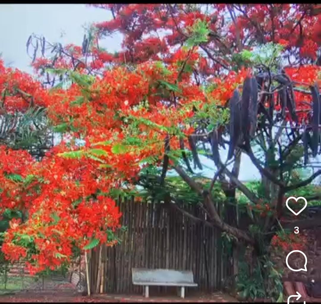 🌟🏡 Oportunidade Única! Vendo Rancho de 6.600m² com Vista Espetacular para a Represa do Miranda! 🏡🌟