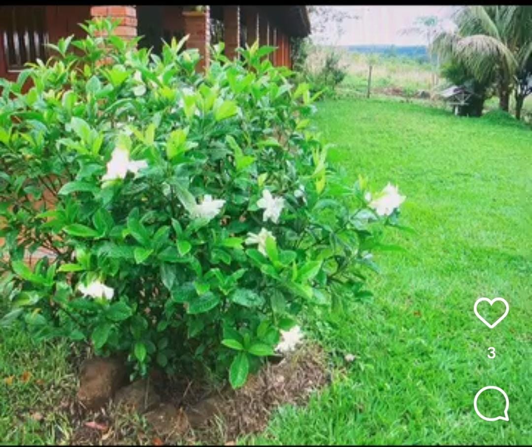 🌟🏡 Oportunidade Única! Vendo Rancho de 6.600m² com Vista Espetacular para a Represa do Miranda! 🏡🌟