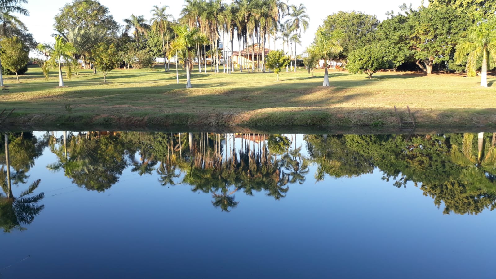 💎 Fazenda de Alto Padrão - 53 hectares 💎