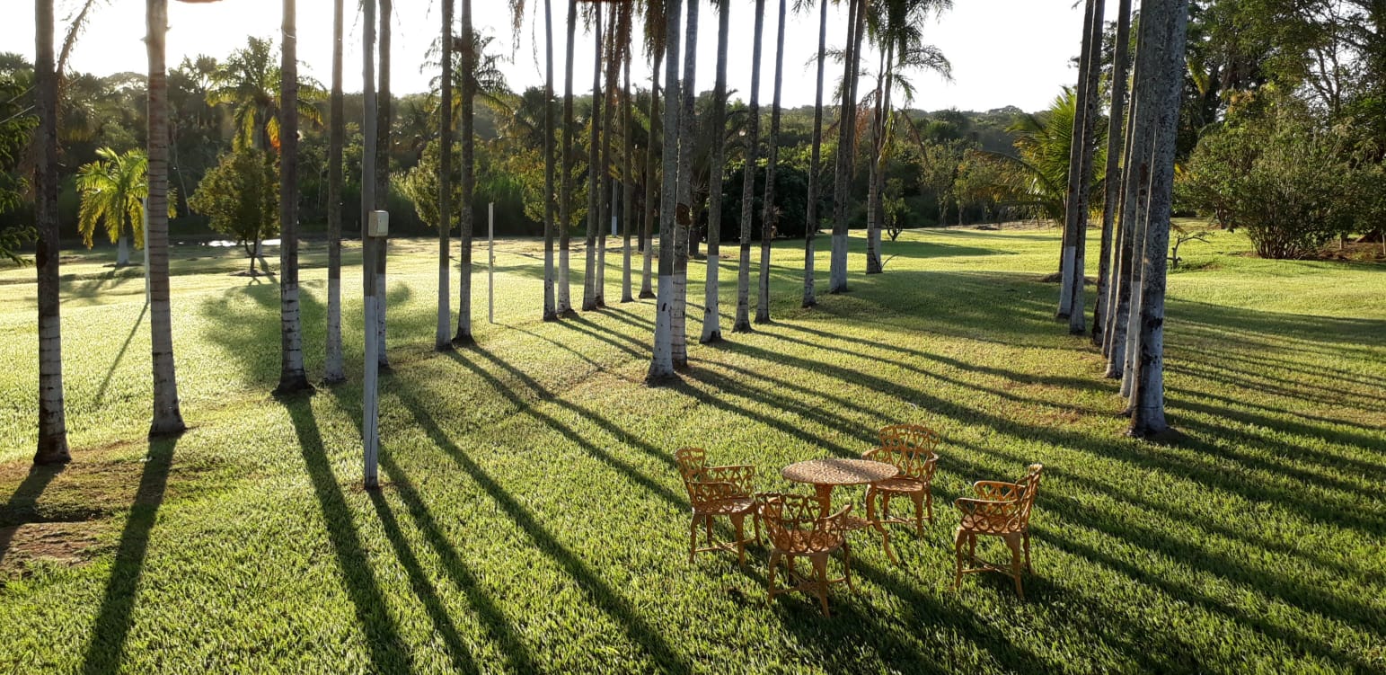 💎 Fazenda de Alto Padrão - 53 hectares 💎