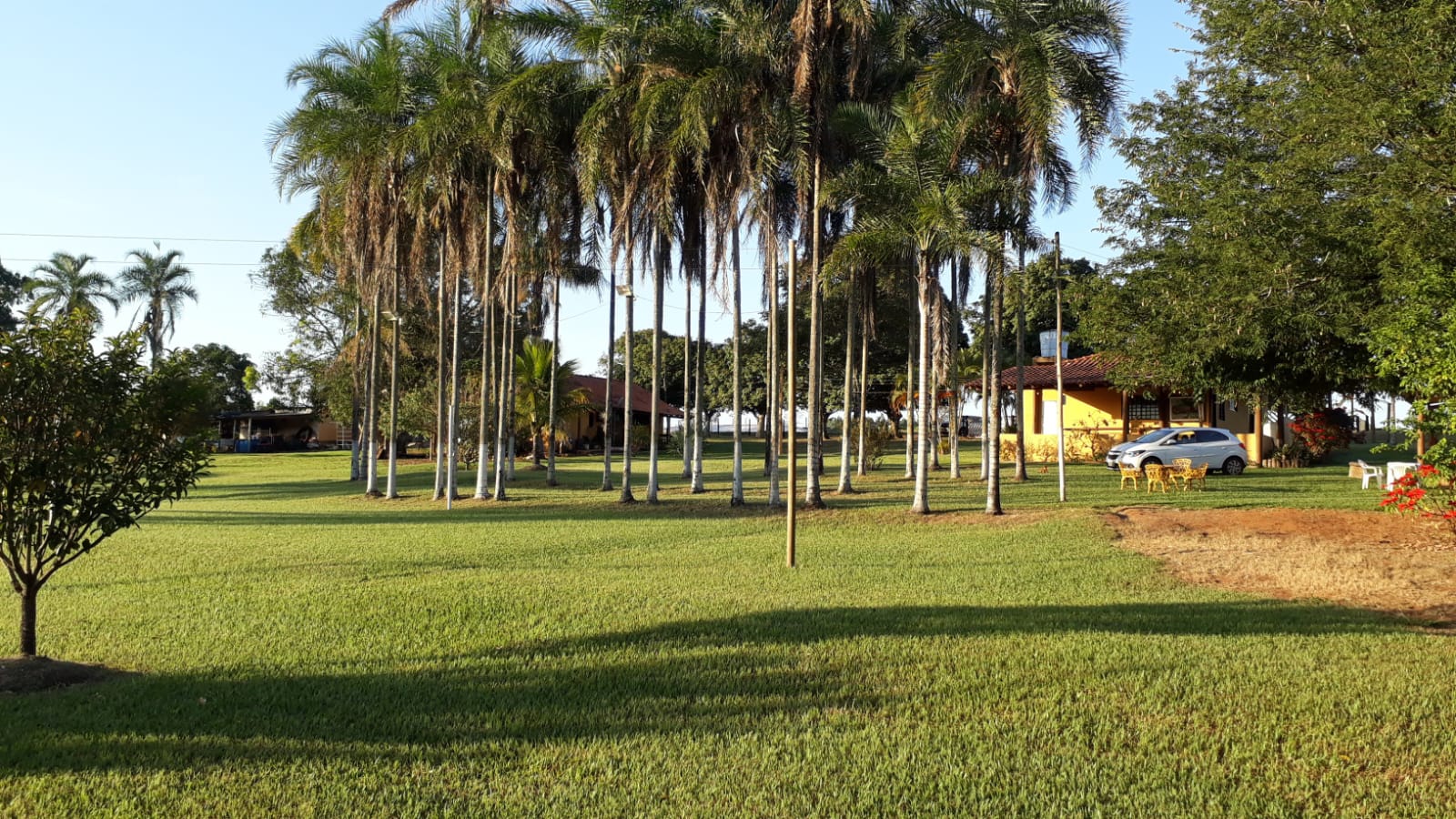 💎 Fazenda de Alto Padrão - 53 hectares 💎