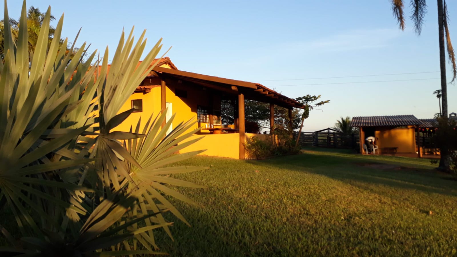 💎 Fazenda de Alto Padrão - 53 hectares 💎